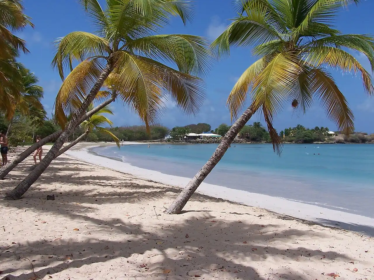 Grande Anse des Salines